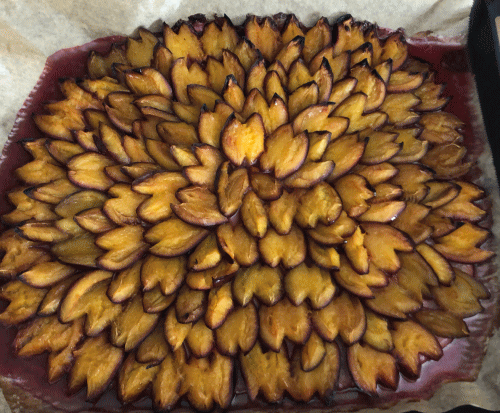 プラムケーキホール